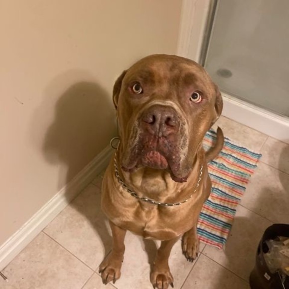 Meet your Posher, Darren - Picture 1 of 1